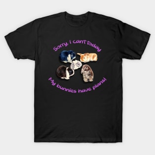 Sorry, I can't today... my bunnies have plans! T-Shirt